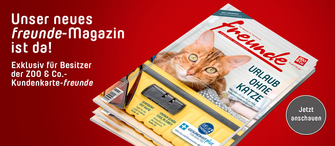 freunde-Magazin 2 - ZOO & Co.